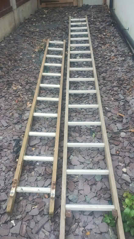 Photo of free Ladders (Bexley DA5) #1