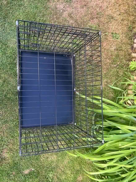 Photo of free Dog Crate (Hemel HP1) #3