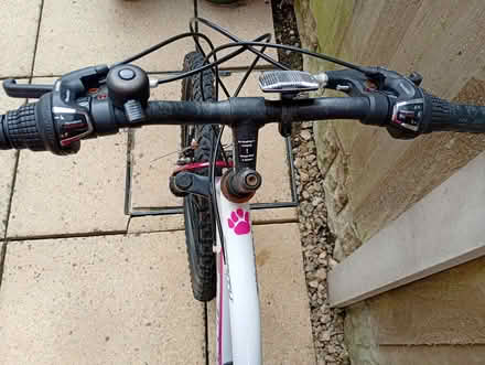 Photo of free Mountain Bike Muddyfox 24 inch (Gwernymynydd CH7) #3