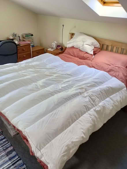 Photo of free Mattress topper (Meadgate) #1