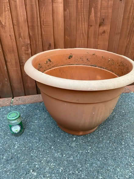 Photo of free Large 42cm plastic pot (Waterlooville PO7) #1