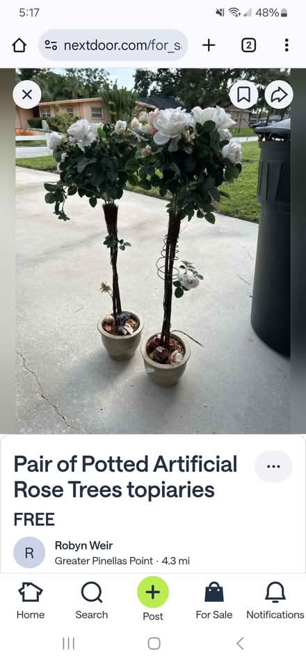 Photo of free Rose trees solid pots Home decor (St Pete - Central Oak Park) #1