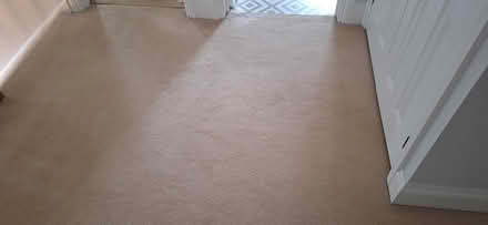 Photo of free Cream landing and stairs carpet (Horsham) #3