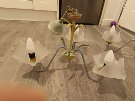 Photo of free 2 chandeliers (Shandon) #1