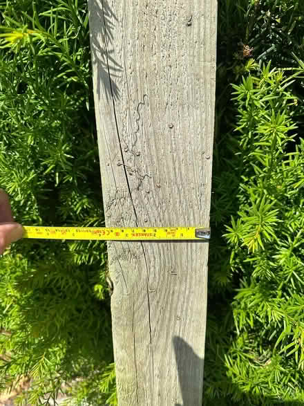 Photo of free Wooden garden posts (Acton W3) #3