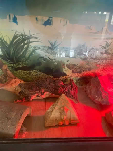 Photo of free Reptile tank (Hampton TW12) #4
