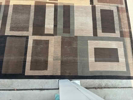 Photo of free Large Area Rug (13 Mile and Old Novi Rd.) #2