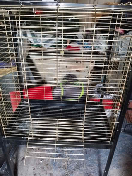 Photo of free Large parrot cage (Carnforth LA5) #2