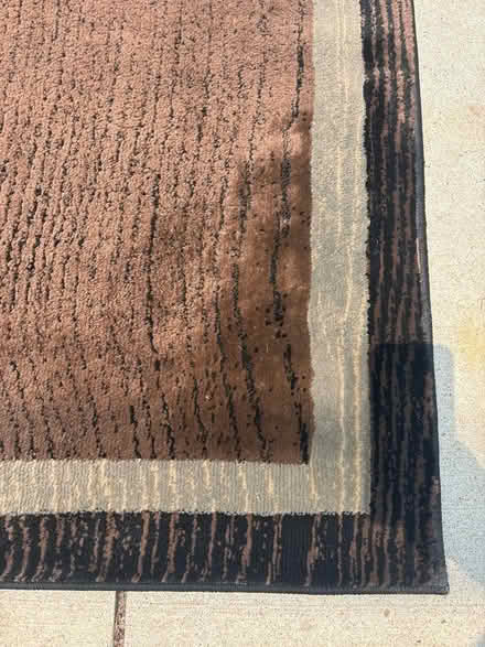 Photo of free Large Area Rug (13 Mile and Old Novi Rd.) #3