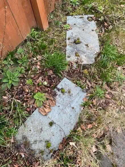 Photo of free Large slabs (East Herrington SR3) #1