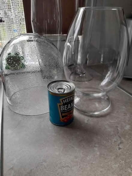 Photo of free Vase (St. Albans) #1