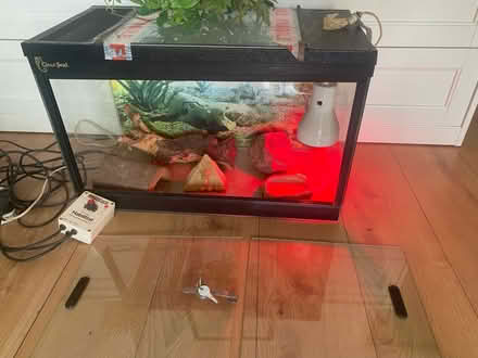 Photo of free Reptile tank (Hampton TW12) #1