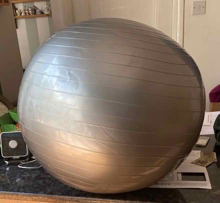 Photo of free Inflatable exercise ball (Bare LA4) #1