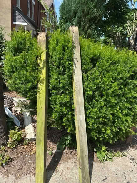 Photo of free Wooden garden posts (Acton W3) #1