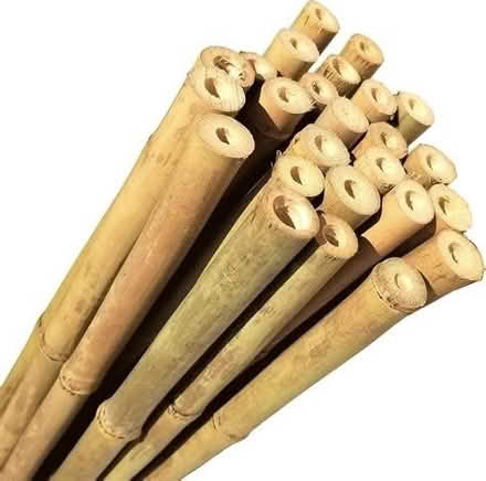 Photo of Bamboo canes (Southsea PO1) #1
