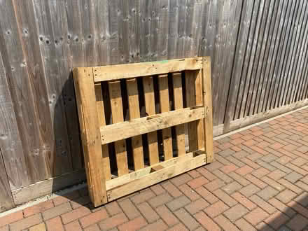 Photo of free Strong pallet (Waterlooville PO7) #1