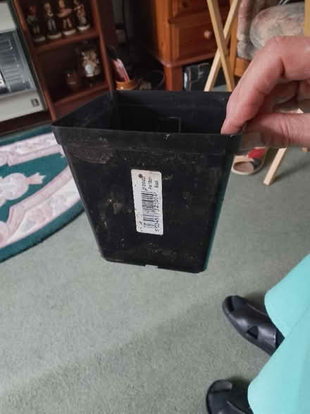 Photo of free Black square plant pots (Whoberley CV5) #1