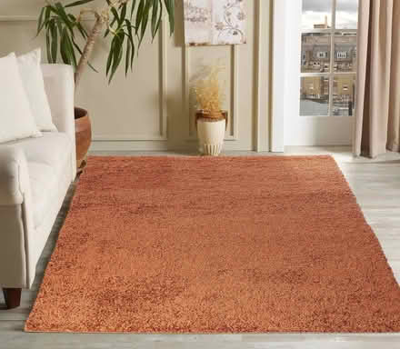 Photo of Rug (clean rug (N19 Archway) #1