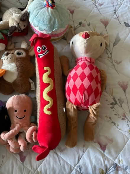 Photo of free Used Dog Toys (Drighlington BD11) #2