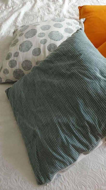 Photo of free 5 cushions (Hailsham) #2