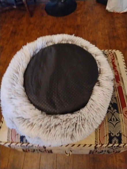 Photo of free Another cat bed (Eltham SE9) #2