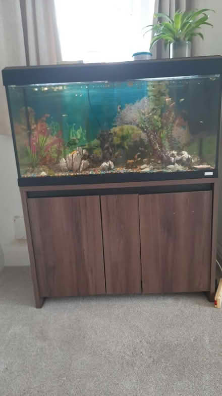 Photo of free Fish tank (Shrewsbury) #1