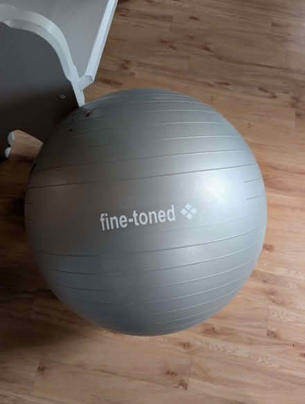 Photo of free Exercise Ball (IP9) #1