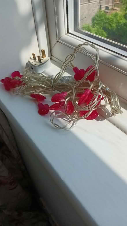 Photo of free Fairy lights (Hailsham) #1