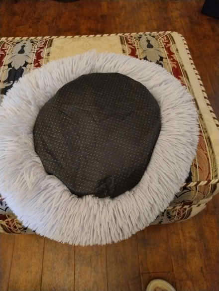 Photo of free Cat bed (Eltham SE9) #2