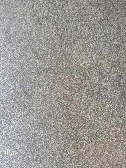 Photo of free Bed room carpet (Rainham ME8) #1