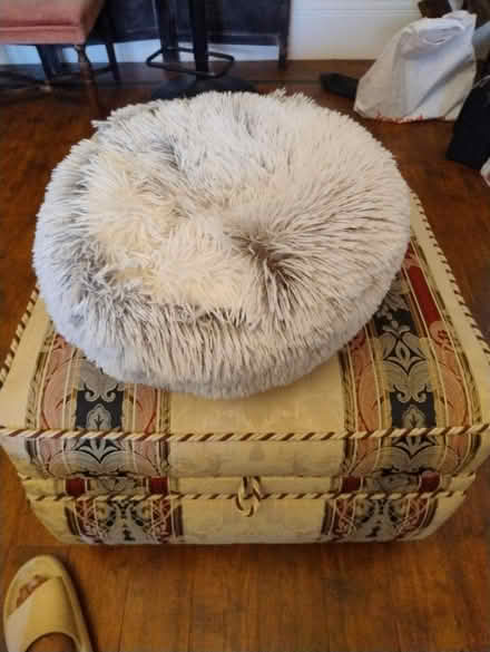 Photo of free Another cat bed (Eltham SE9) #1