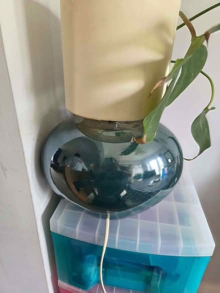Photo of free Lamp (Kingsway) #2