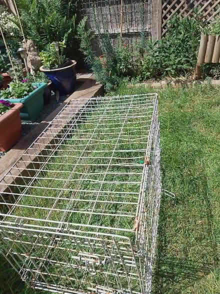 Photo of free Dog crate (Whoberley CV5) #1
