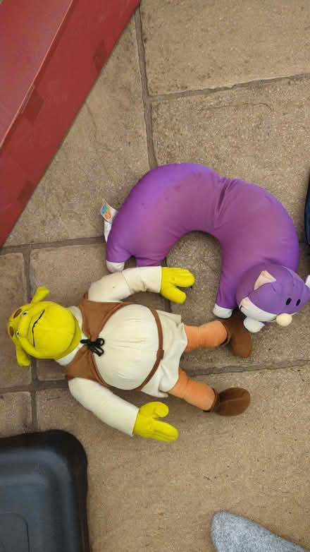 Photo of free Shrek Teddy & Cat Neck Pillow (DA2) #1