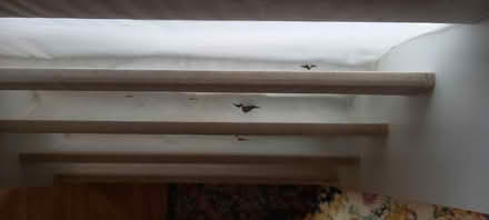 Photo of free Childs bookshelf (Llandrindod LD1) #2