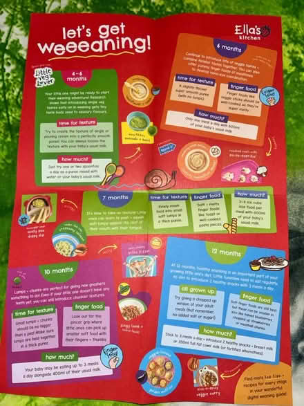 Photo of free Ella’s kitchen weaning chart (CV21LP) #2