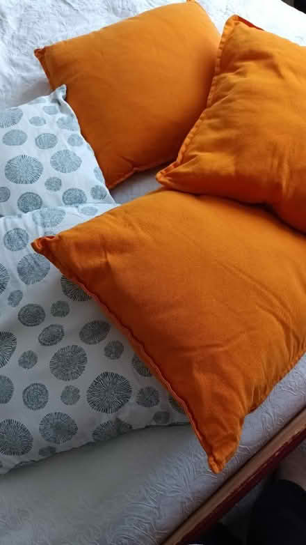 Photo of free 5 cushions (Hailsham) #1