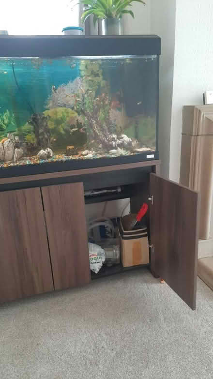 Photo of free Fish tank (Shrewsbury) #2