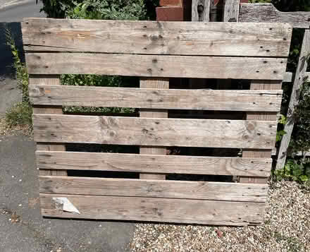 Photo of free Wooden pallet (Normandy, GU3) #1
