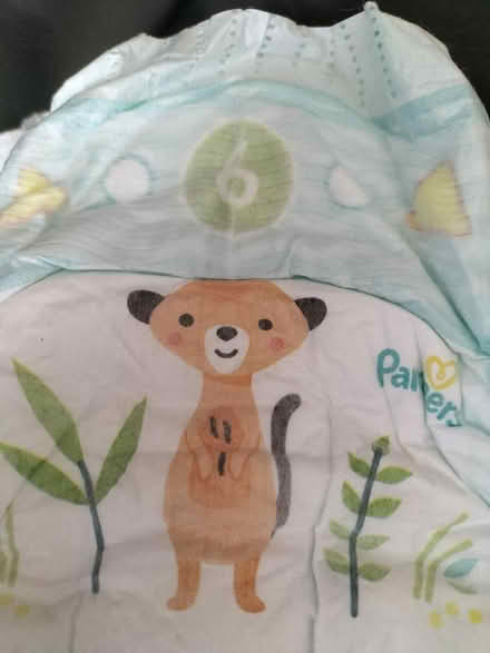 Photo of free Pull-ups, nappies and toy (Belfast BT11) #3