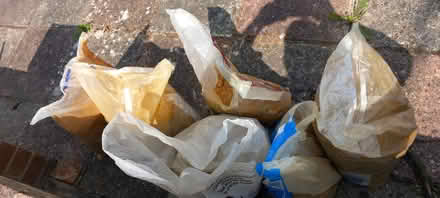 Photo of free Ballast and sand (Waterlooville PO8) #3