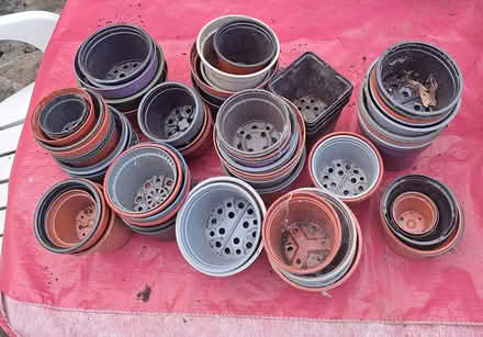 Photo of free Plastic plant pots (Northwood HA6) #2