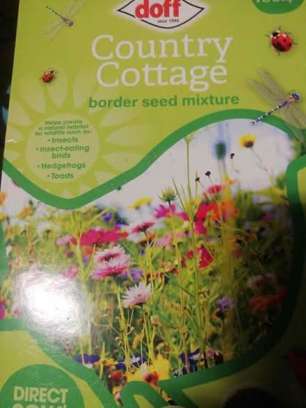 Photo of free 2 x boxes cottage seed mixture boxes (Bierley BD4) #1