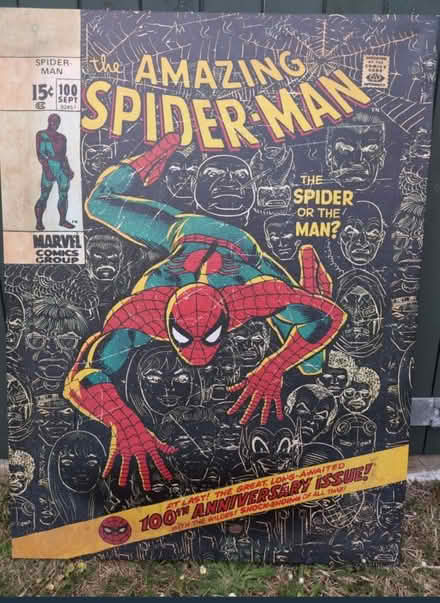 Photo of free Spiderman canvas (Calcot RG31) #1
