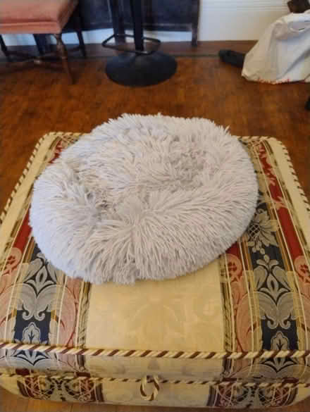Photo of free Cat bed (Eltham SE9) #1