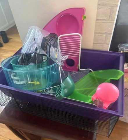 Photo of free Hamster cage and accessories (West Ealing) #1