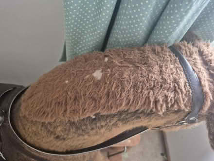 Photo of free Brandy the rocking horse (Little Salkeld CA10) #2