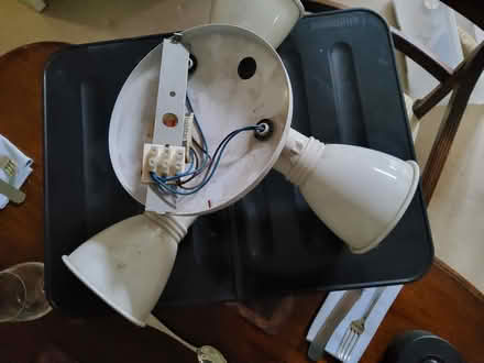 Photo of free Triple Ceiling Spot (Bexhill on Sea) #3