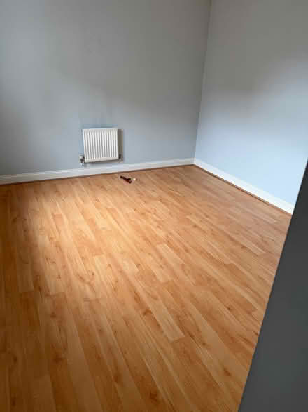 Photo of free Laminate Flooring (West malling) #3