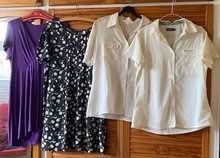 Photo of free women's tops (Manor Park E12) #1
